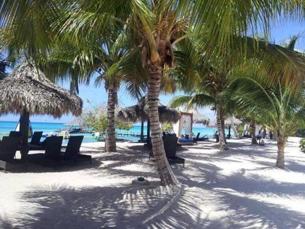 Apartament Cadaques Caribe Pez 103 Bayahibe Zewnętrze zdjęcie