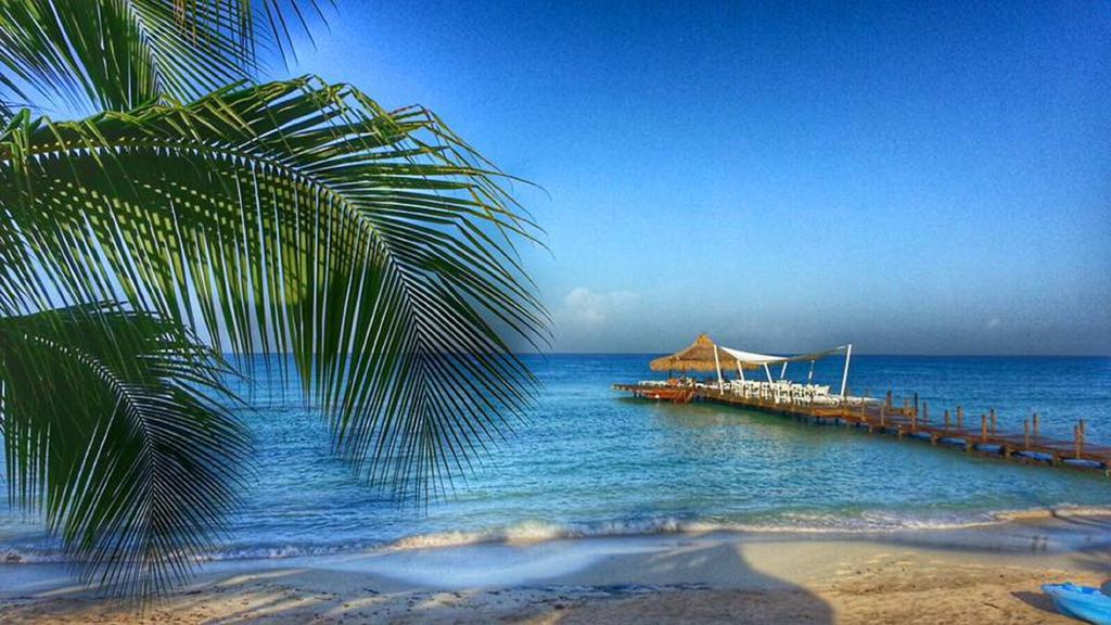 Apartament Cadaques Caribe Pez 103 Bayahibe Zewnętrze zdjęcie