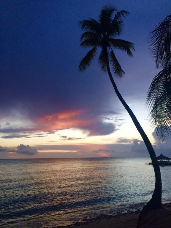 Apartament Cadaques Caribe Pez 103 Bayahibe Zewnętrze zdjęcie