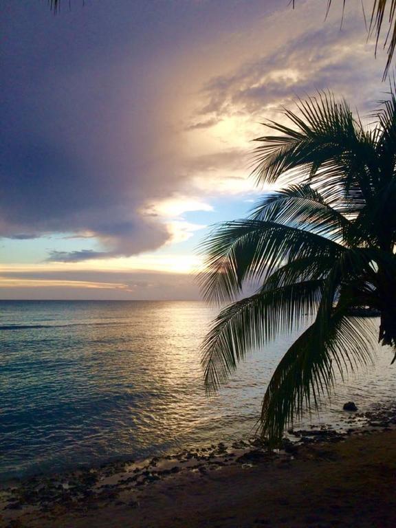 Apartament Cadaques Caribe Pez 103 Bayahibe Zewnętrze zdjęcie
